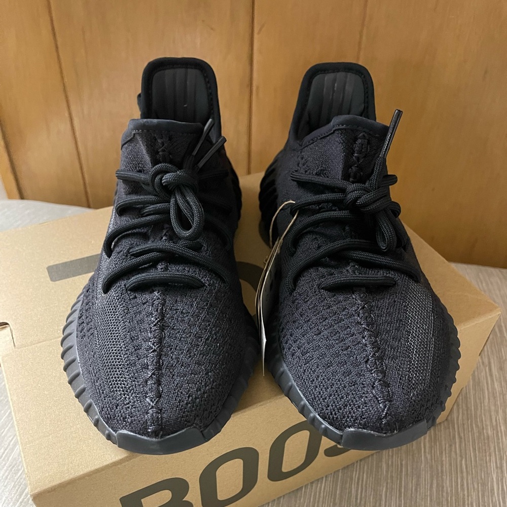 Yeezy Boost v2
